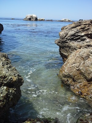 Shell Beach