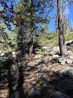 (Lake Alpine) Backpackers campsite photo 3 - Stanislaus National Forest, California