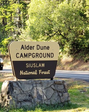 Alder Dune campsite photo 4 - Siuslaw National Forest, Oregon