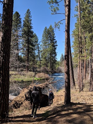 Allingham Campground campsite photo 2 - Deschutes National Forest, Oregon