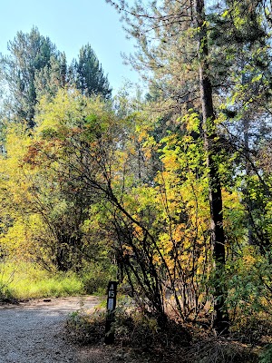 Alpine North Loop campsite photo 3 - Caribou-Targhee National Forest, Idaho