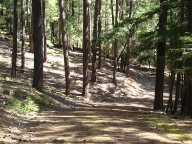 ALPINE VIEW CAMPGROUND5