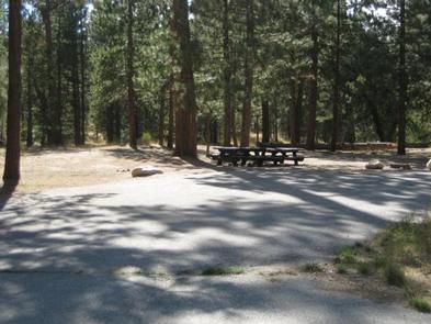 Barton Flats Campground Picnic Tables in the shade...