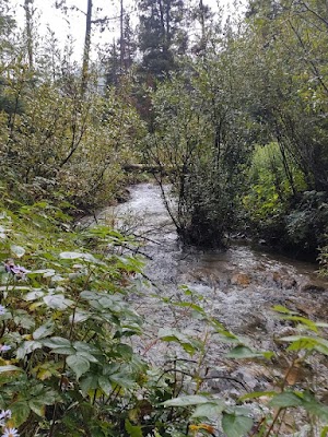 Basin Montana Campground campsite photo 6 - Custer Gallatin National Forest, Montana