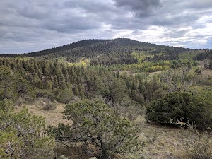 Bassam Guard Station campsite photo 3 - Psicc, Colorado