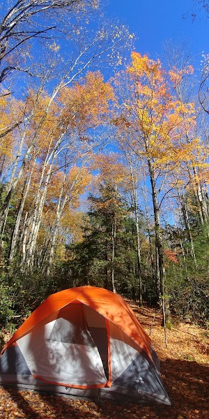 Beartree campsite photo 6 - George Washington & Jefferson National Forest, Virginia