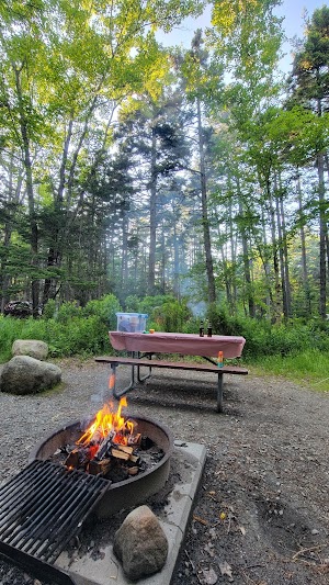 Blackwoods Campground campsite photo 5 - Acadia National Park, Maine