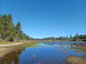 Bluebill Campground campsite photo 2 - Siuslaw National Forest, Oregon