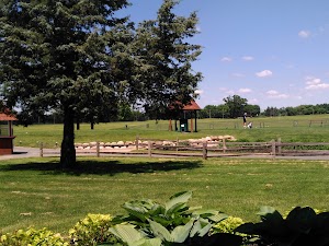 Bluff Creek campsite photo 6 - Walter F. George Lake, Alabama