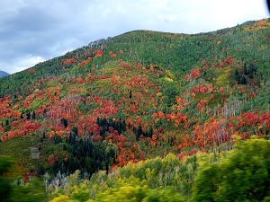 Boulder Basin campsite photo 5 - San Bernardino National Forest, California