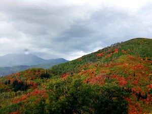 Boulder Basin campsite photo 6 - San Bernardino National Forest, California
