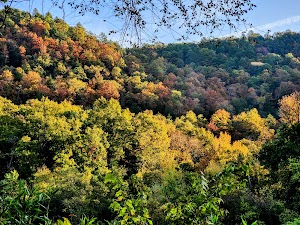 Buffalo Point campsite photo 6 - Buffalo National River, Arkansas