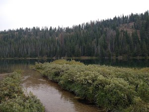 Bull Trout campsite photo 5 - Boise National Forest, Idaho