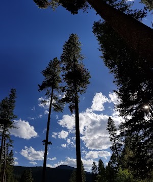 Burning Bear Campground campsite photo 5 - Psicc, Colorado