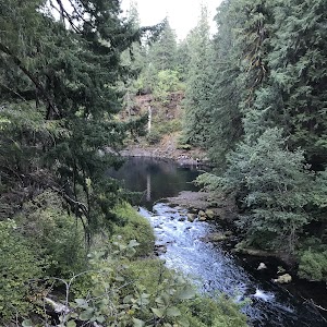 Blue Pool campsite photo 5 - Willamette National Forest, Oregon