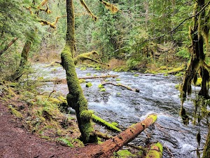 Blue Pool campsite photo 6 - Willamette National Forest, Oregon