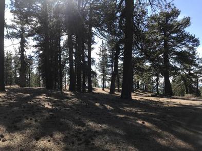 Campo Alto Campground campground at Los Padres National Forest, California