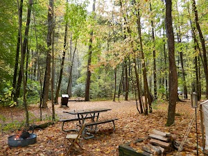 Cataloochee Campground campsite photo 2 - Great Smoky Mountains National Park, North Carolina