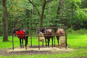 Cataloochee Horse Camp campsite photo 3 - Great Smoky Mountains National Park, North Carolina
