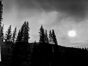 Cayton Campground campsite photo 6 - San Juan National Forest, Colorado