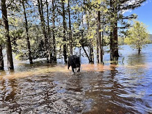 Chisholm Campground campsite photo 6 - Custer Gallatin National Forest, Montana