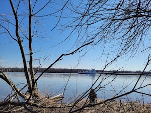 Clarks Ferry campsite photo 4 - Mississippi River - Pools 11-22, Iowa