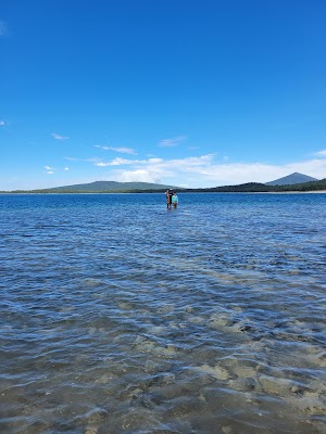 Contorta Point Group Camp campsite photo 2 - Deschutes National Forest, Oregon