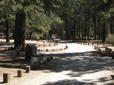 Crab Flats Campground road with bear cansisters