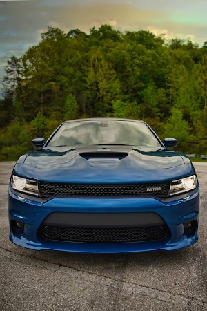 Claylick Boat-In Campground campsite photo 4 - Daniel Boone National Forest, Kentucky