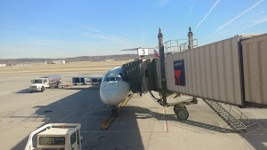 Delta campsite photo 4 - Willamette National Forest, Oregon