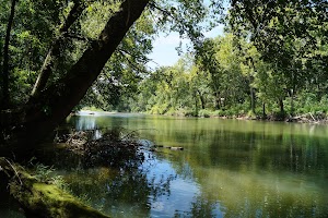 Devils Elbow campsite photo 5 - Idaho Panhandle National Forests, Idaho