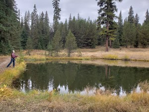 Ditch Creek Guard Station Cab campsite photo 2 - Umatilla National Forest, Oregon