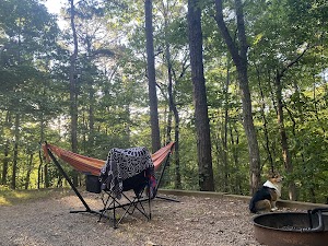 Doll Mountain Campground campsite photo 3 - Carters Lake, Georgia