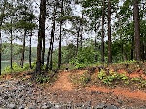 Doll Mountain Campground campsite photo 4 - Carters Lake, Georgia