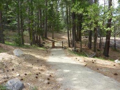 DORABELLE CAMPGROUND trail