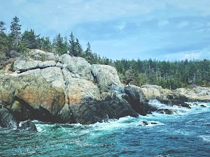 Duck Harbor Campground campsite photo 2 - Acadia National Park, Maine