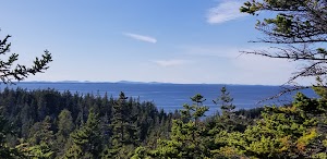 Duck Harbor Campground campsite photo 3 - Acadia National Park, Maine