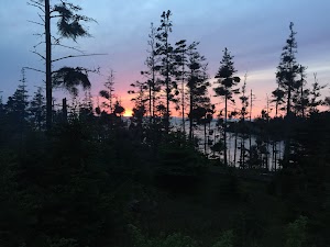 Duck Harbor Campground campsite photo 5 - Acadia National Park, Maine