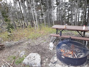 Duck Harbor Campground campsite photo 6 - Acadia National Park, Maine