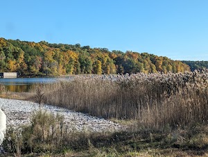 Devils Kitchen Group Pavilion campsite photo 6 - Crab Orchard National Wildlife Refuge, Illinois