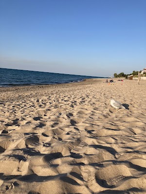 Dunbar Group Site campsite photo 6 - Indiana Dunes National Park, Indiana