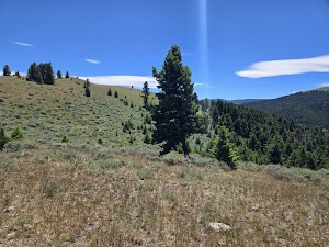 Eagle Guard Station campsite photo 3 - Helena-Lewis and Clark National Forest, Montana