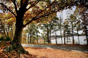 Eagle Point Recreation Area campsite photo 3 - Wappapello Lake, Missouri