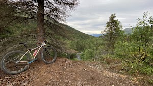 East Creek Cabin campsite photo 5 - Chugach National Forest, Alaska