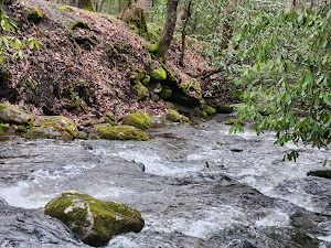 Elkmont Campground campsite photo 2 - Great Smoky Mountains National Park, Tennessee