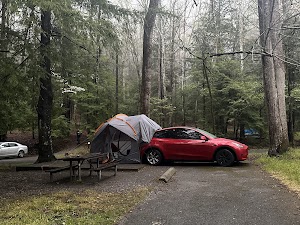 Elkmont Campground campsite photo 6 - Great Smoky Mountains National Park, Tennessee