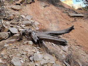 Echo Amphitheater campsite photo 5 - Carson National Forest, New Mexico