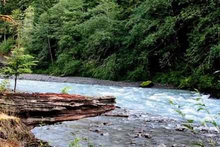 Excelsior Group Camp