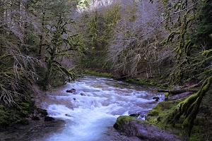 Fernview Group Site campsite photo 2 - Willamette National Forest, Oregon