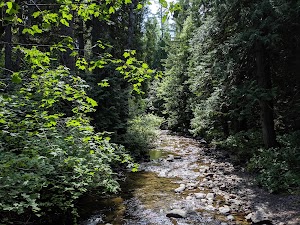 Fish Creek Campground campsite photo 5 - Glacier National Park, Montana